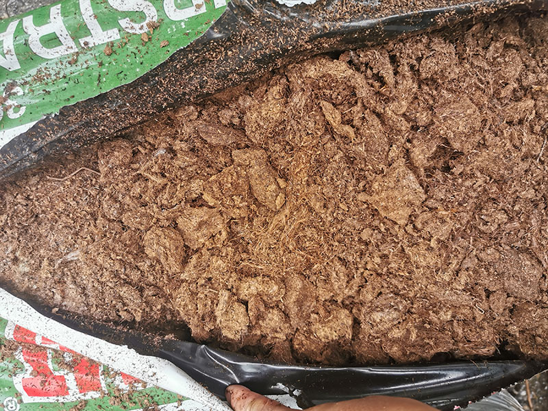 經典案例